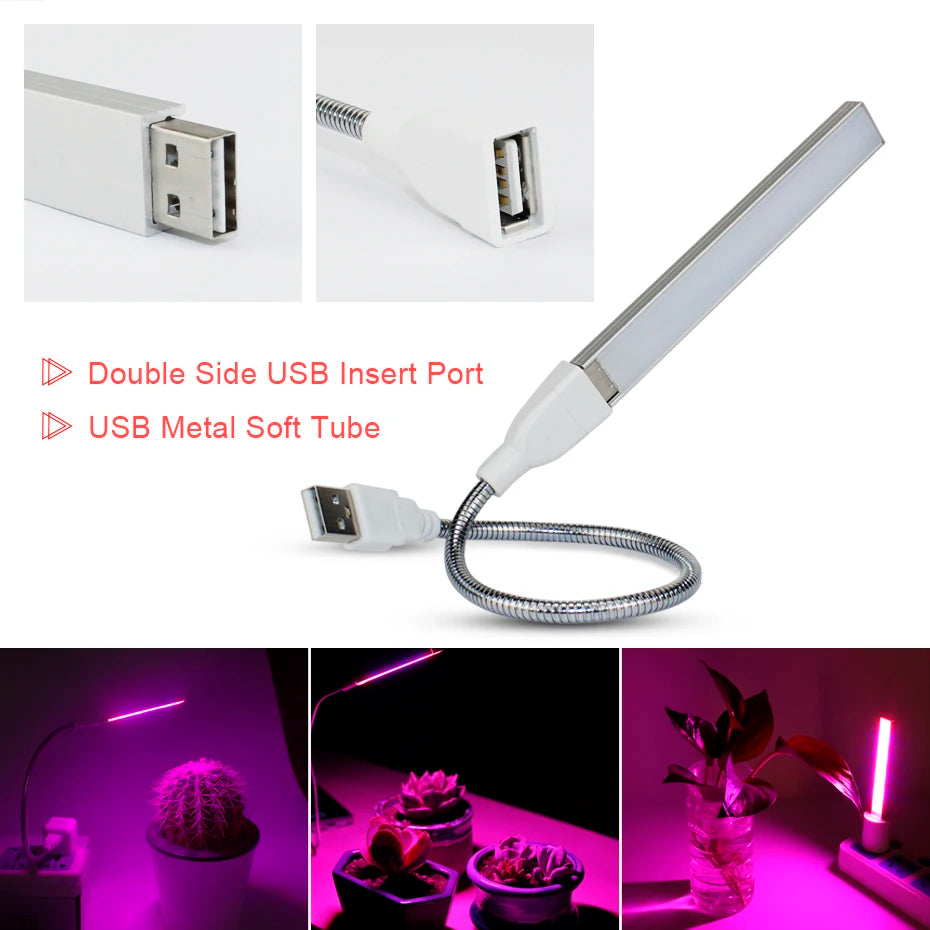 Led Grow Light USB DC 5V Fitolampy for Plants Red Blue Led Plant Grow Light Lamps Full Spectrum Led Grow Lights Bulb Phytolamp