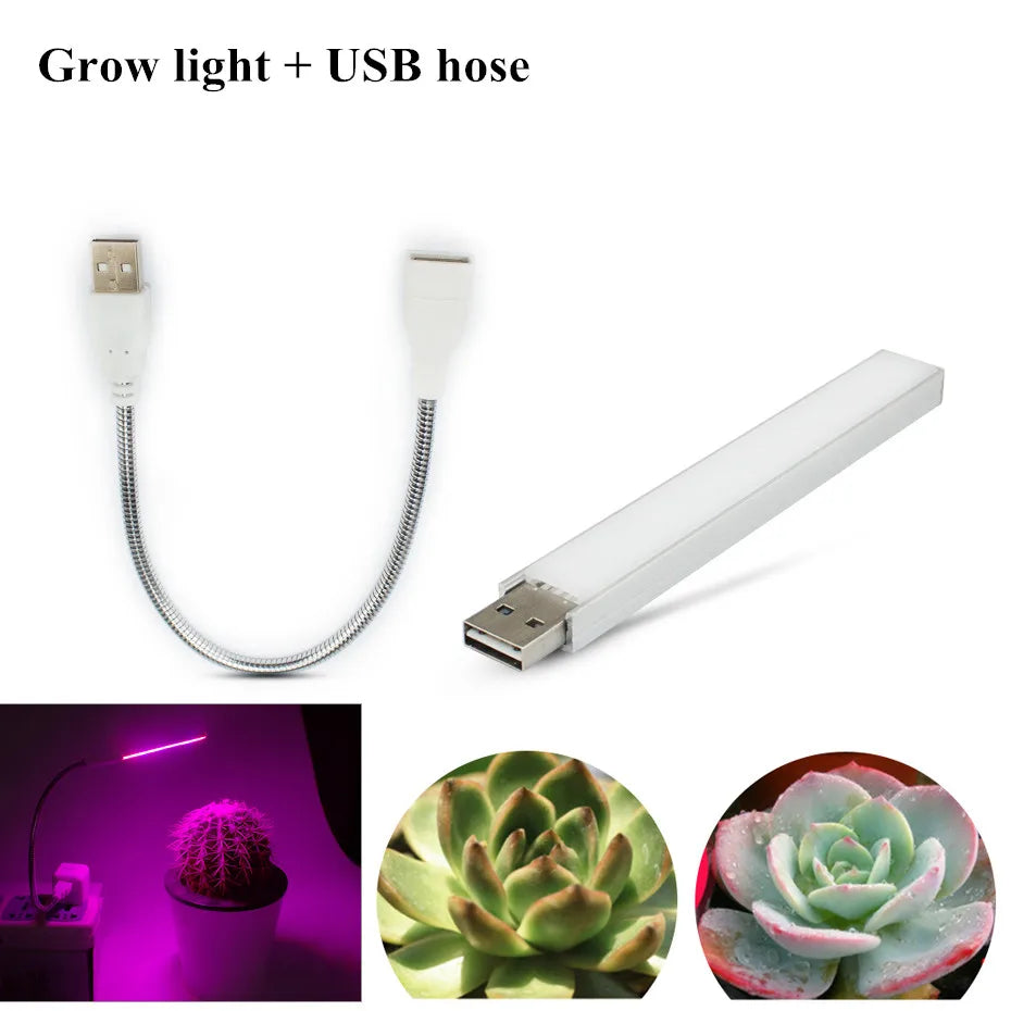 Led Grow Light USB DC 5V Fitolampy for Plants Red Blue Led Plant Grow Light Lamps Full Spectrum Led Grow Lights Bulb Phytolamp