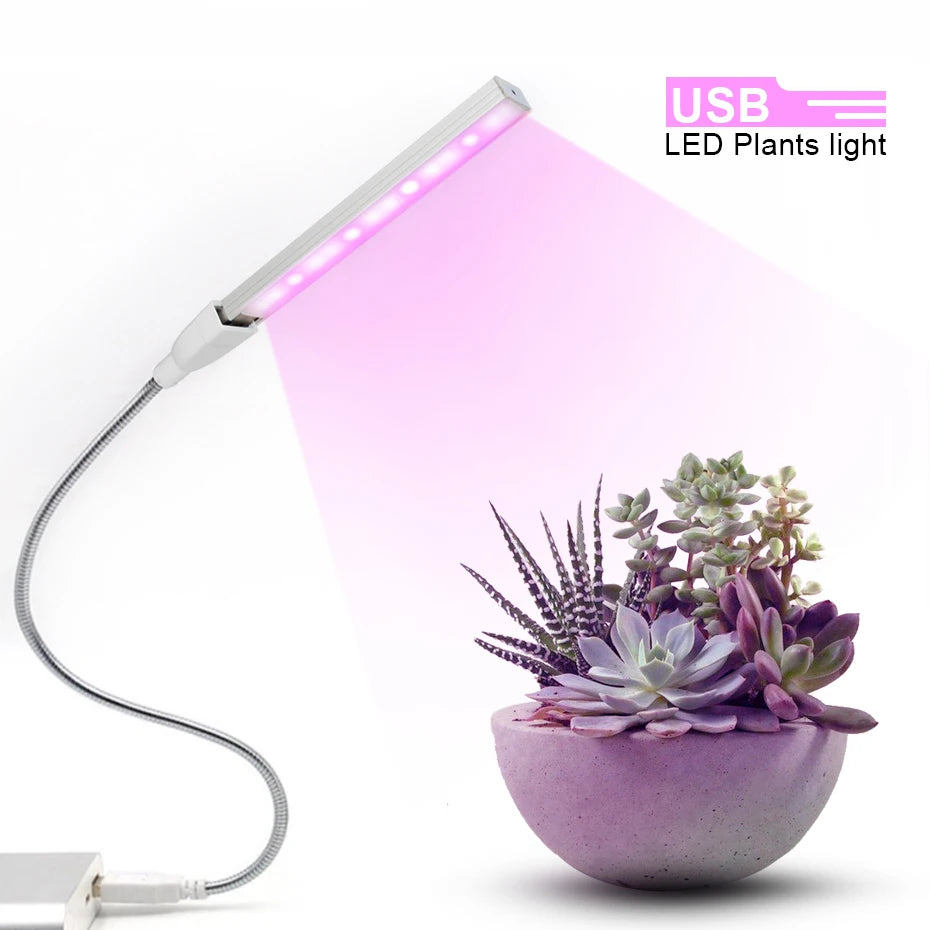 Led Grow Light USB DC 5V Fitolampy for Plants Red Blue Led Plant Grow Light Lamps Full Spectrum Led Grow Lights Bulb Phytolamp