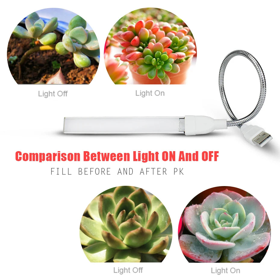 Led Grow Light USB DC 5V Fitolampy for Plants Red Blue Led Plant Grow Light Lamps Full Spectrum Led Grow Lights Bulb Phytolamp